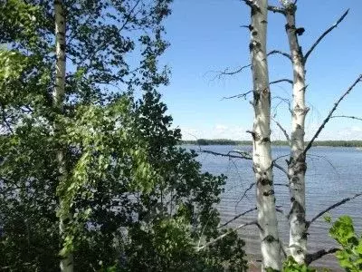 Участок в Нижегородская область, Сокольский городской округ, с. ... - Фото 0