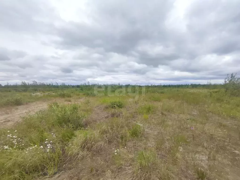 Участок в Ямало-Ненецкий АО, Новый Уренгой ул. 9-я Запрудная, 9 (6.0 ... - Фото 1