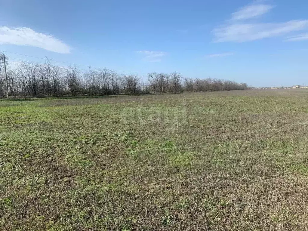 Участок в Крым, Красногвардейский район, Колодезянское с/пос, с. ... - Фото 1