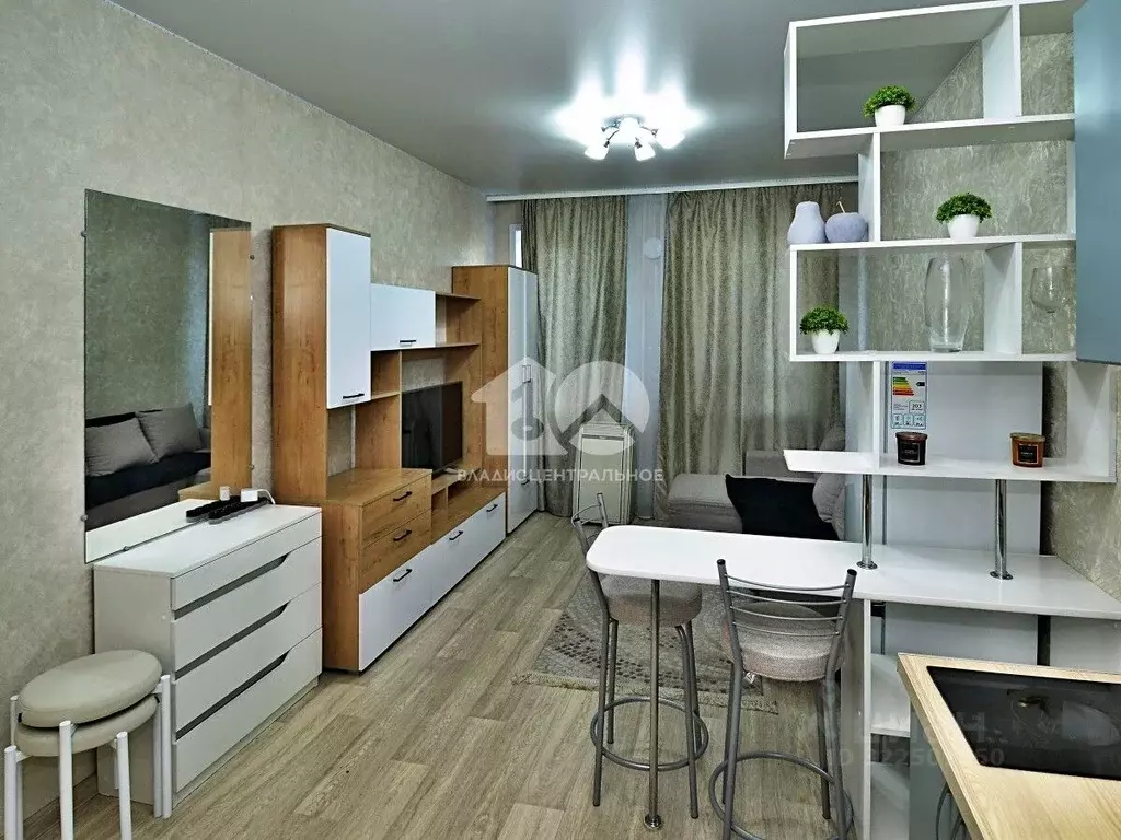 Студия Новосибирская область, Новосибирск Красный просп., 323 (26.2 м) - Фото 1