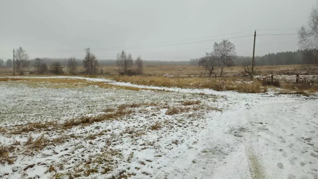 Участок в Московская область, Домодедово городской округ, д. Михеево  ... - Фото 0