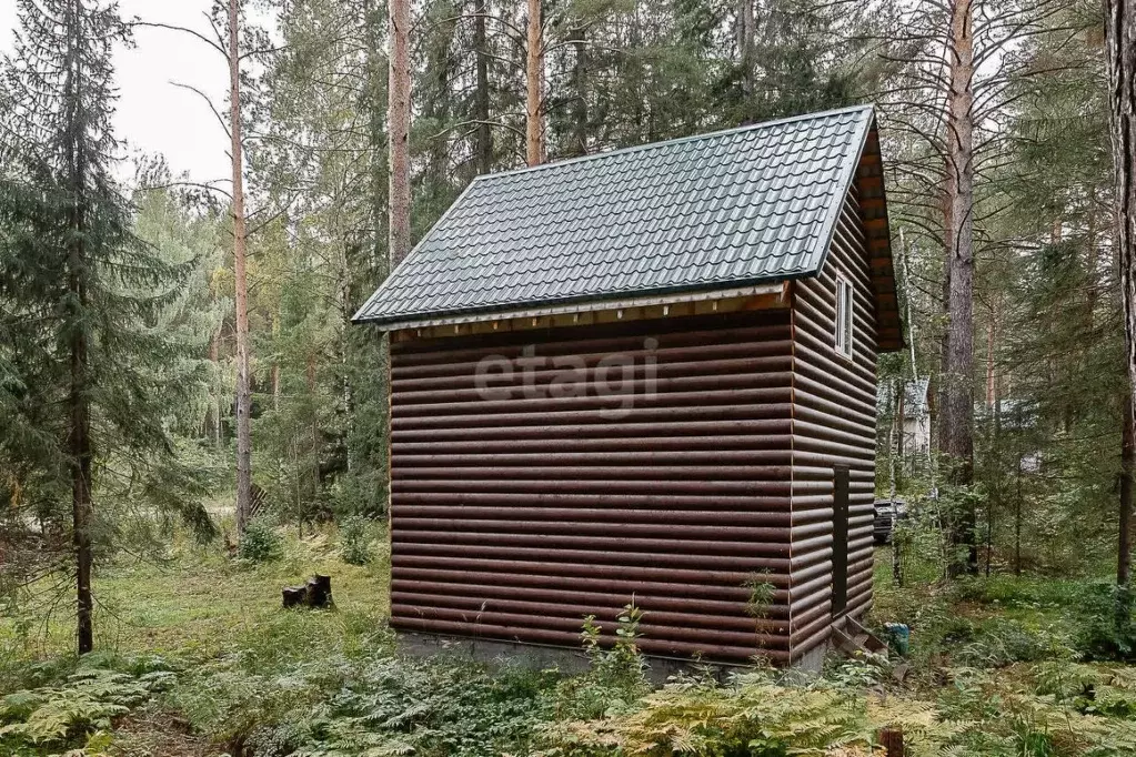 Дом в Свердловская область, Дегтярск ул. Виноградная (54 м) - Фото 1