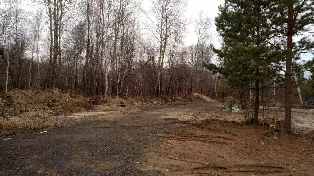 Дом в Тюменский район, территория Южный Подъём, Лесная улица, 30 (73.1 ... - Фото 1