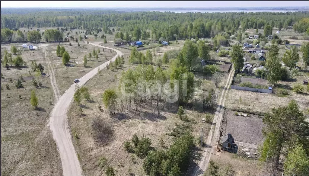 Участок 10 сот. (СНТ, ДНП) - Фото 0