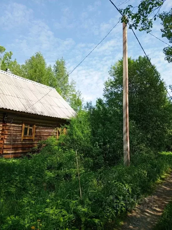 Участок в Ленинградская область, Тосненский район, Лисинское с/пос, ... - Фото 1