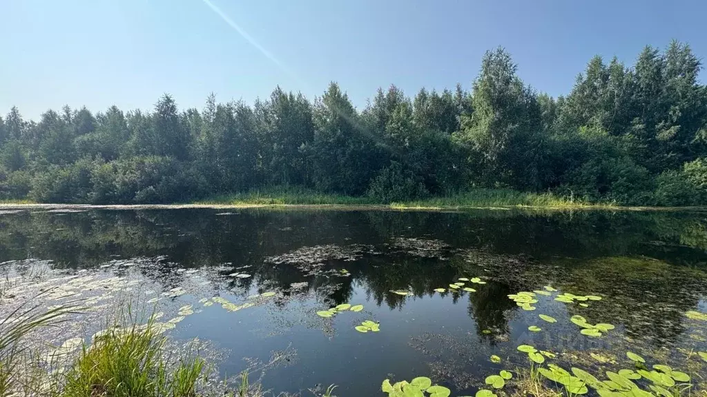 Участок в Пермский край, Пермский муниципальный округ, д. Берег Камы ... - Фото 2