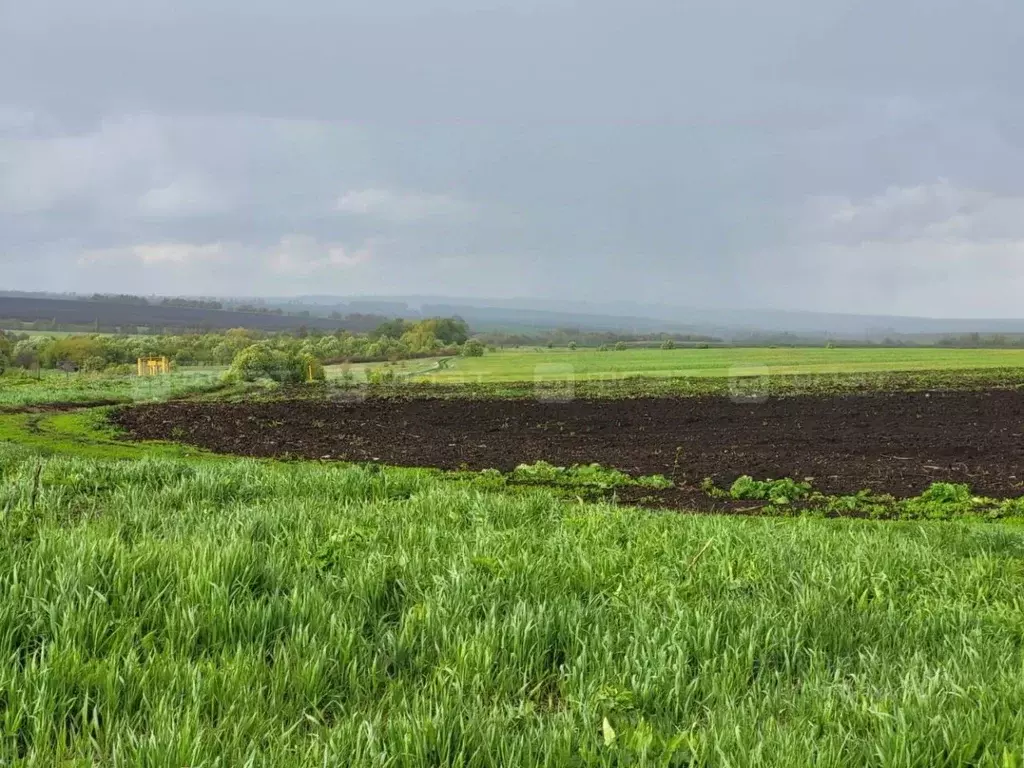 Участок в Татарстан, Тетюшский район, Федоровское с/пос, с. Удельное ... - Фото 2