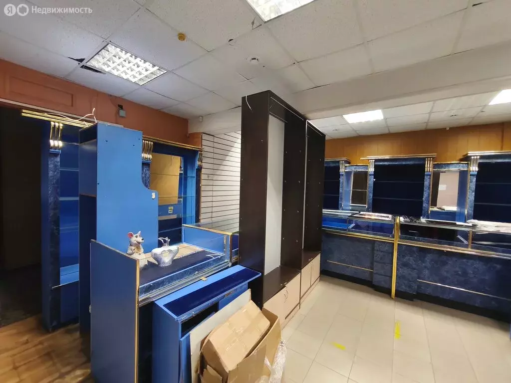 Помещение свободного назначения (32.3 м) - Фото 2