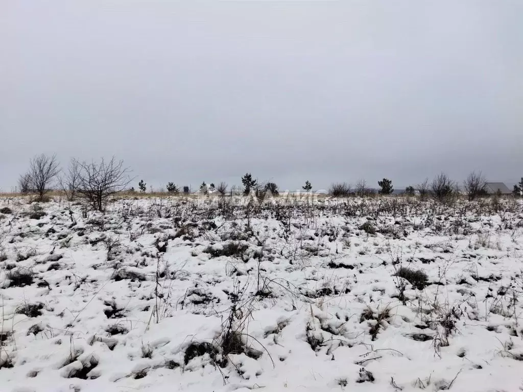 Участок в Пензенская область, Бессоновский район, пос. Подлесный  (8.7 ... - Фото 1