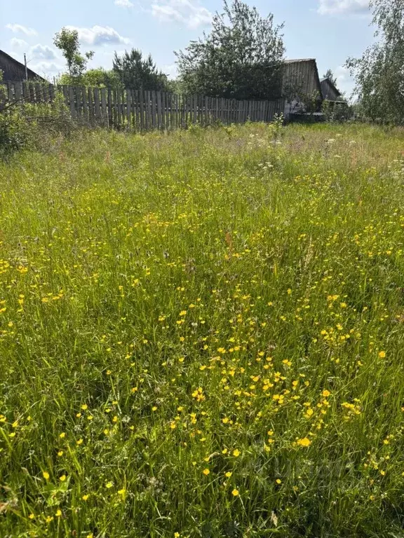 Участок в Нижегородская область, Выкса городской округ, Виля рп, пос. ... - Фото 0