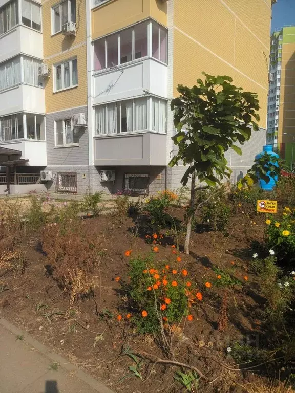 Помещение свободного назначения в Краснодарский край, Краснодар ул. ... - Фото 2