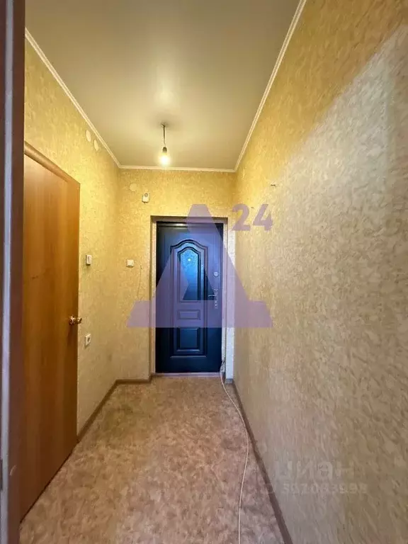 Студия Алтайский край, Бийск Советская ул., 189/6 (35.8 м) - Фото 0