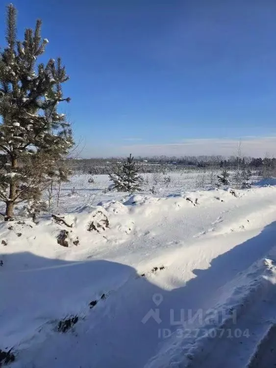 Участок в Иркутская область, Иркутский муниципальный округ, с. ... - Фото 1
