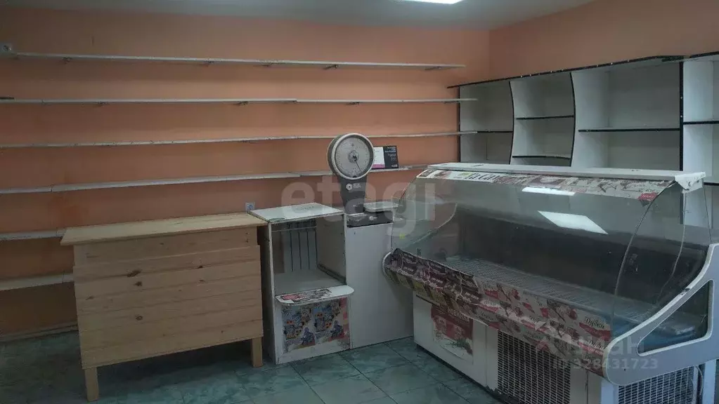 Помещение свободного назначения в Саратовская область, Воскресенский ... - Фото 1