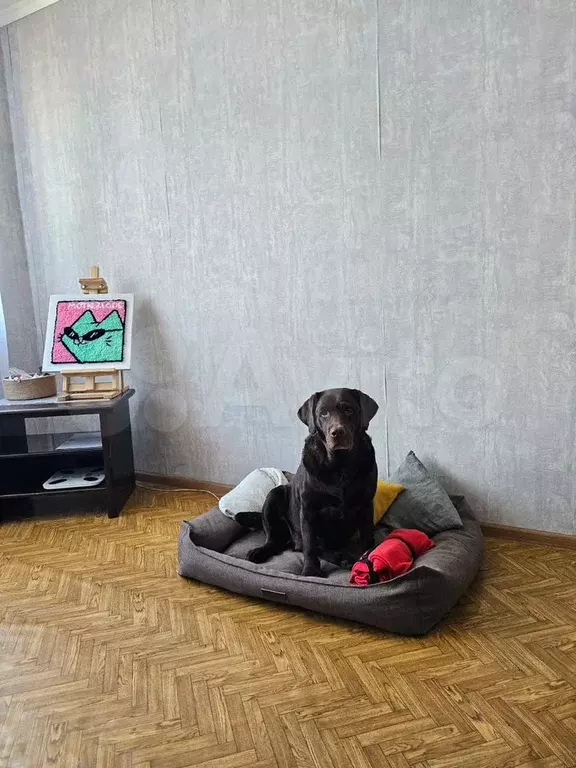 1-к. квартира, 32,6 м, 5/9 эт. - Фото 1