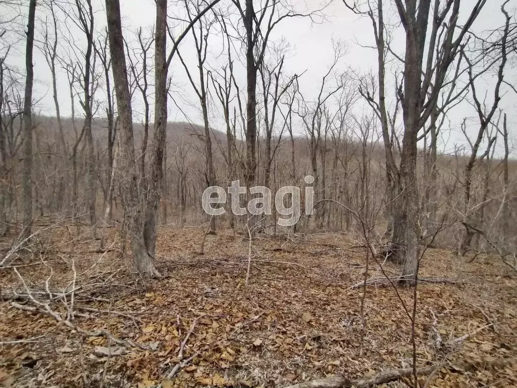 Участок в Приморский край, Владивосток Артековская ул. (12.49 сот.) - Фото 0