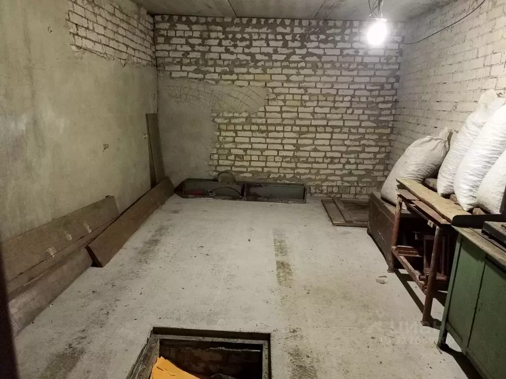 Гараж в Тамбовская область, Тамбов Никифоровская ул., 144 (24 м) - Фото 1