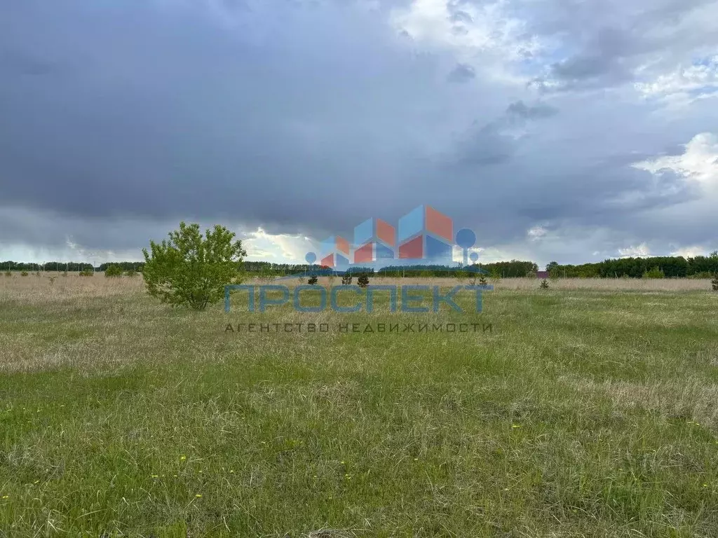 Участок в Тульская область, Ясногорский район, Иваньковское с/пос, с. ... - Фото 1