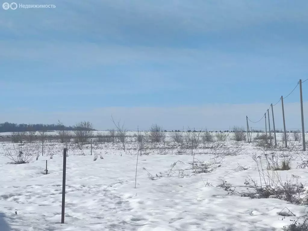 Участок в село Бессоновка, коттеджный посёлок Виктория (20 м) - Фото 1