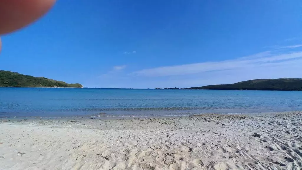 Участок в Приморский край, Хасанский муниципальный округ, с. Витязь  ... - Фото 2