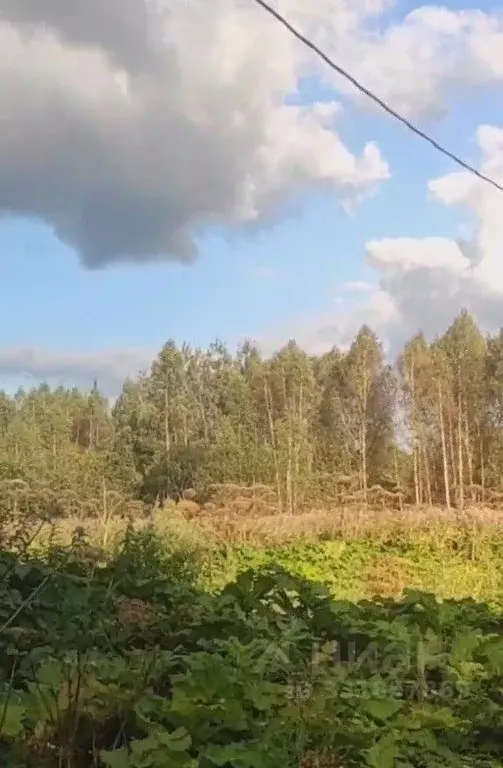 Участок в Московская область, Талдомский городской округ, д. ... - Фото 1
