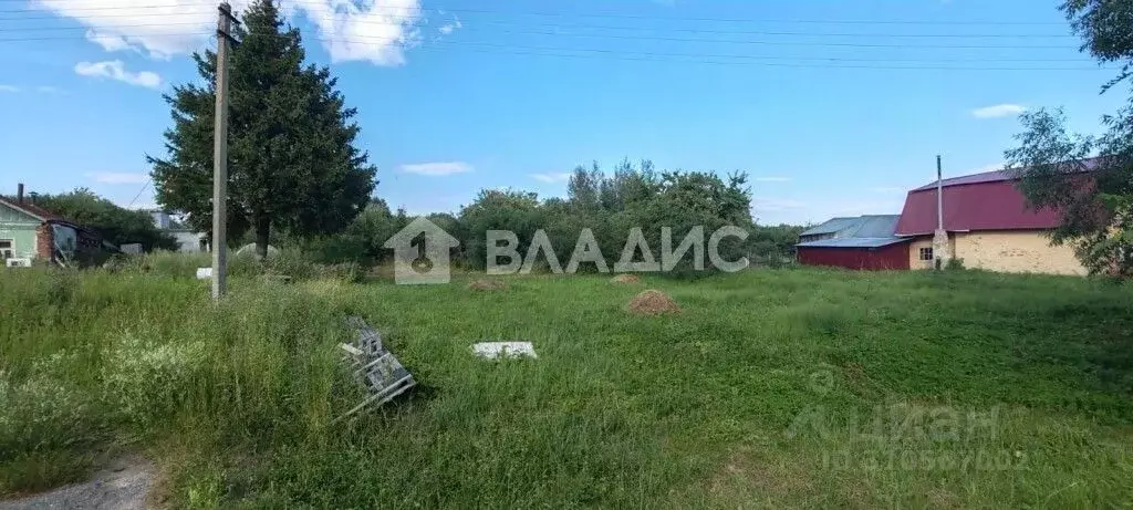 Участок в Владимирская область, Собинский муниципальный округ, с. ... - Фото 1