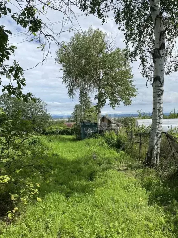 участок в хабаровский край, комсомольск-на-амуре горизонт снт, 53 (9.2 . - Фото 1