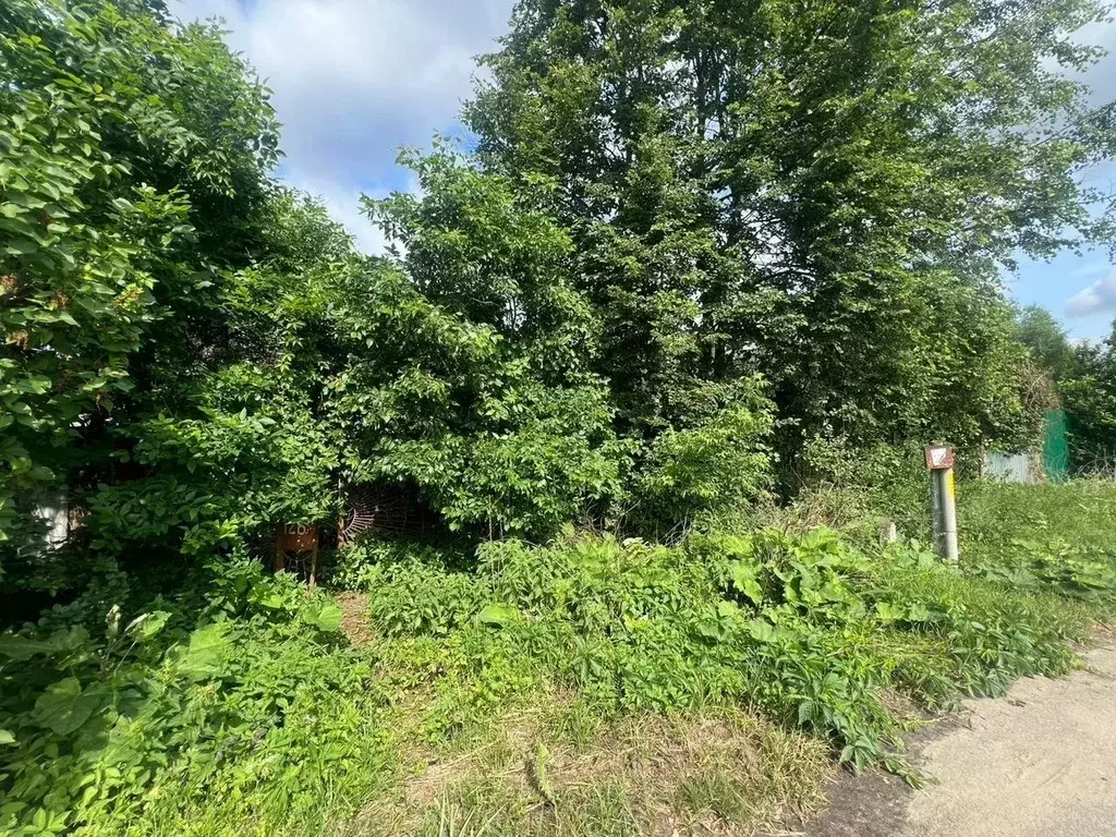 Участок в Московская область, Подольск ул. Большая Серпуховская, 126 ... - Фото 2