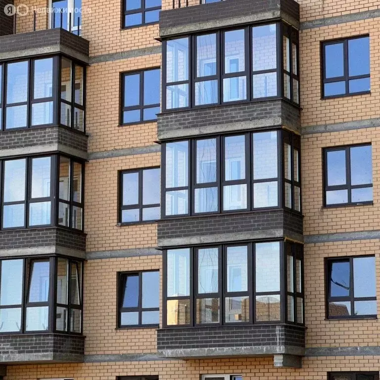 Квартира-студия: Ростов-на-Дону, Кировский проспект, 79/236 (25 м) - Фото 2