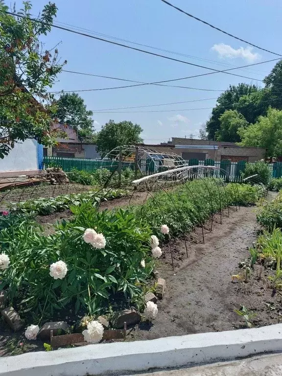 Дом в Орловская область, Мценск Колхозная ул., 29 (76 м) - Фото 1