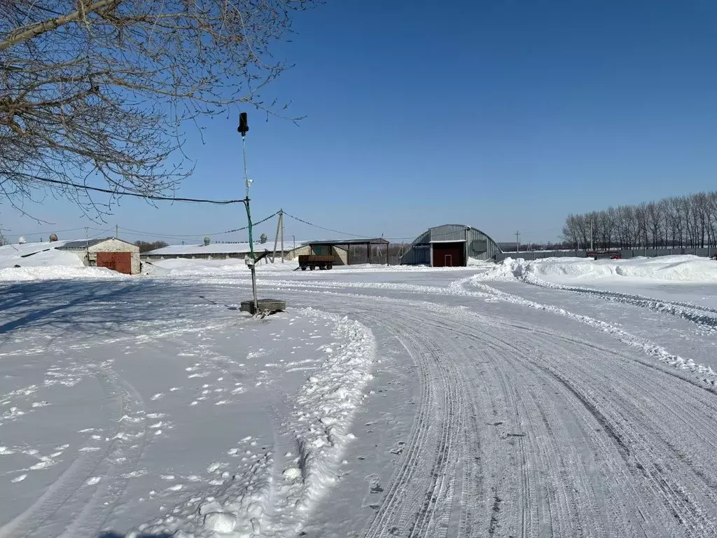 Участок в Воронежская область, пос. Верхняя Маза  (16000.0 сот.) - Фото 1