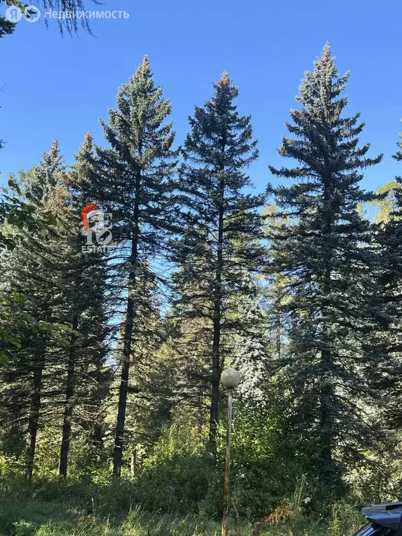 Участок в Химки, микрорайон Новогорск, Заречная улица (7.5 м) - Фото 2