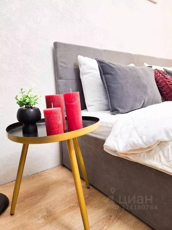 1-к кв. Московская область, Солнечногорск городской округ, Голубое пгт ... - Фото 2