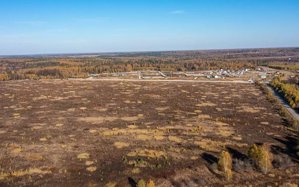 Участок в Московская область, Ступино городской округ, с. Починки  ... - Фото 1