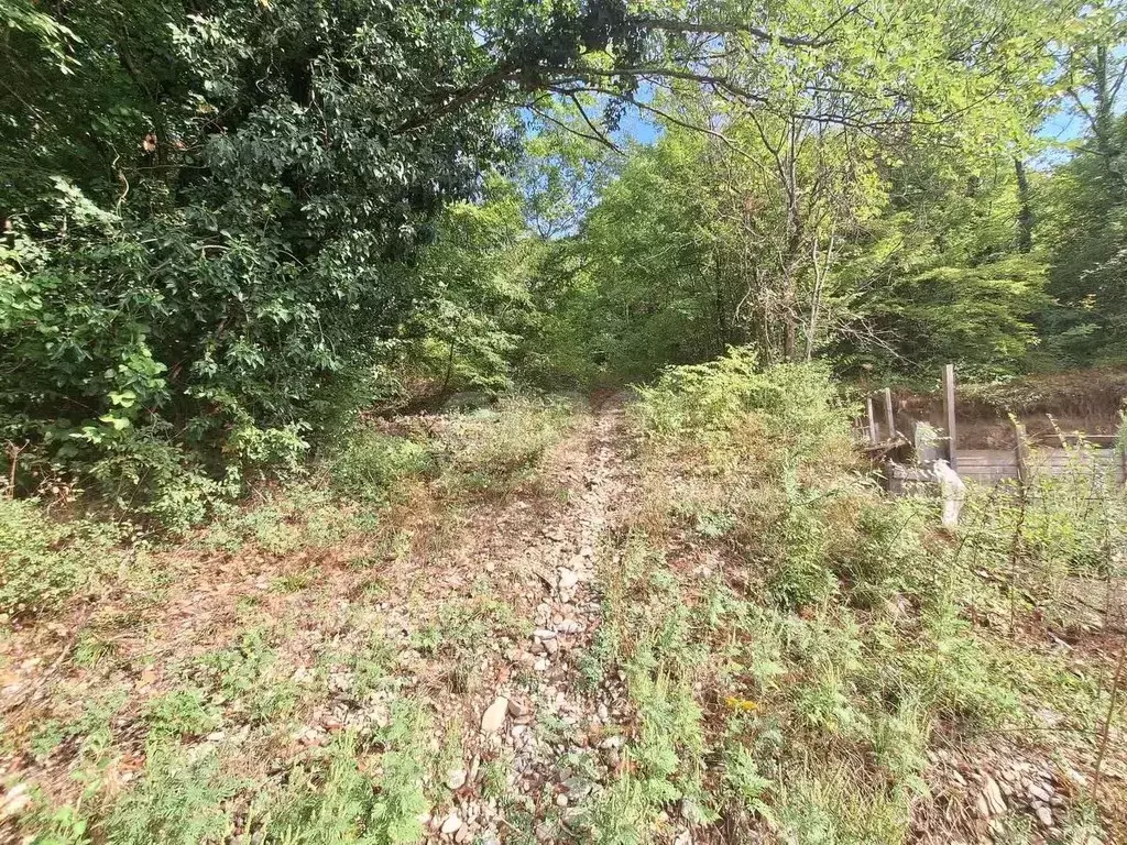 Участок в Краснодарский край, Геленджик городской округ, с. ... - Фото 2