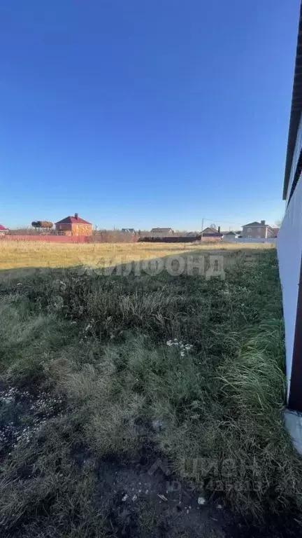 Участок в Воронежская область, Рамонский район, с. Ямное ул. Ягодная ... - Фото 2