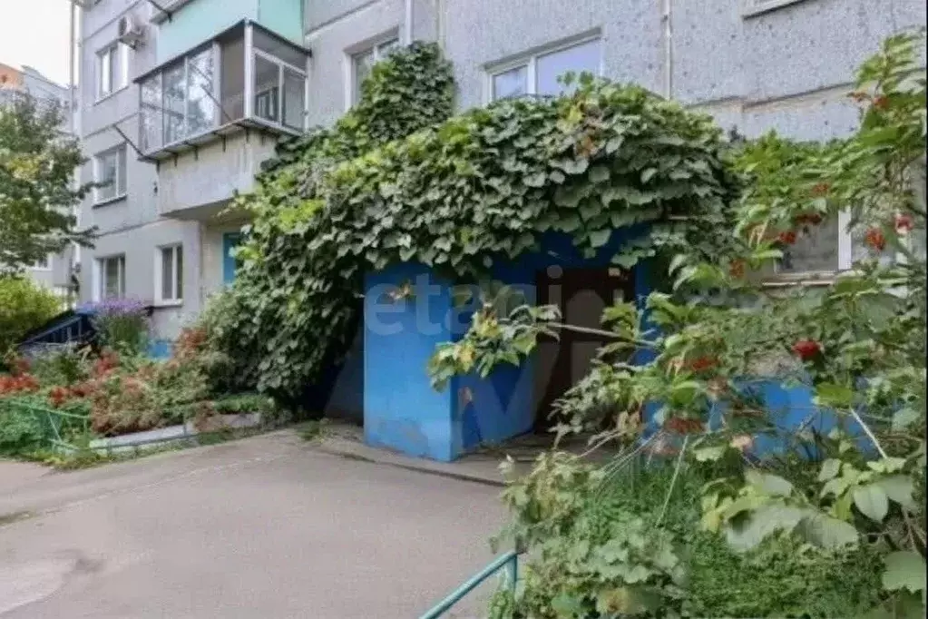 1-к кв. Амурская область, Благовещенск ул. Мухина, 89 (35.5 м) - Фото 2