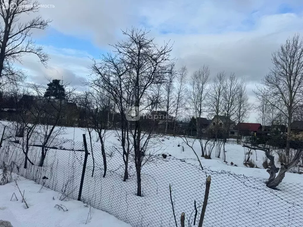 Участок в Красное Село, Семёновская улица, 8 (17 м) - Фото 1