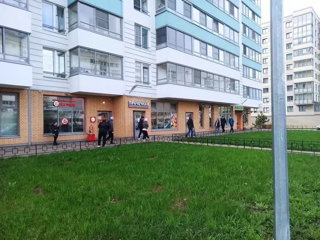 Помещение свободного назначения в Санкт-Петербург ул. Тамбасова, 3к1 ... - Фото 0