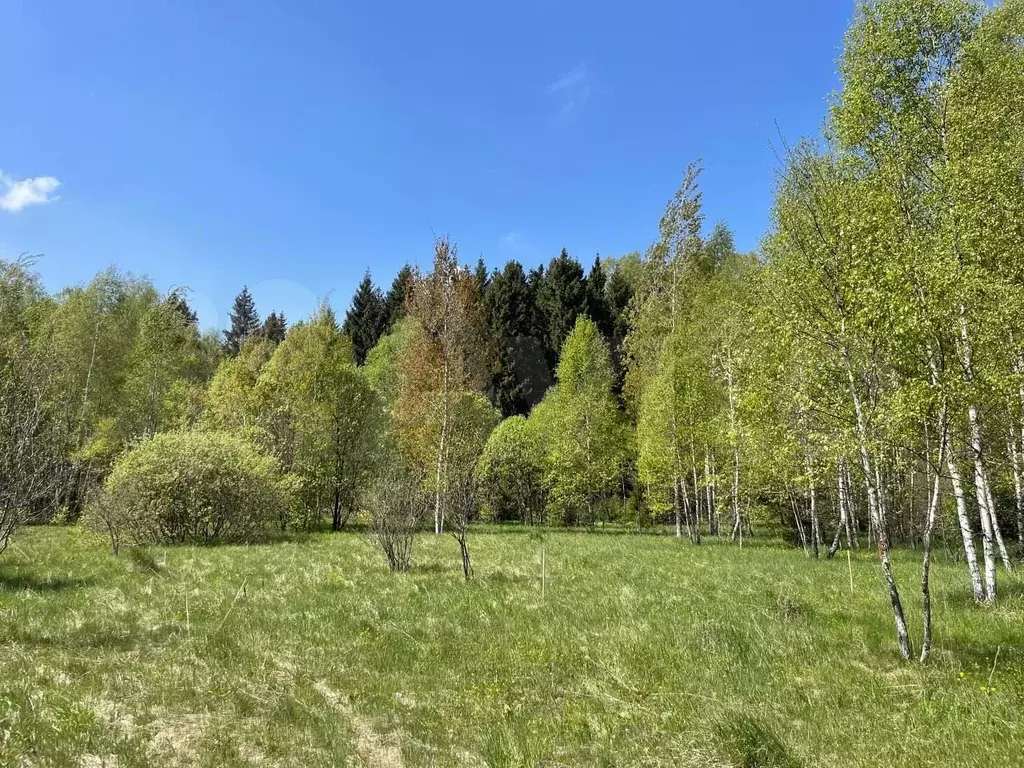 Участок 7,6 сот. (ИЖС) - Фото 1