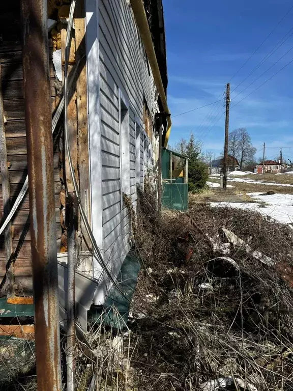 Участок в Нижегородская область, Богородский муниципальный округ, с. ... - Фото 2