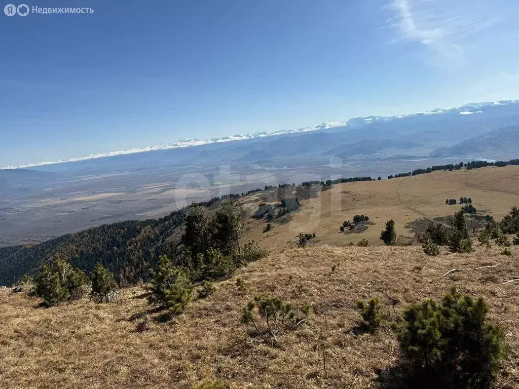 Участок в Усть-Коксинский район, село Усть-Кокса (120 м) - Фото 1