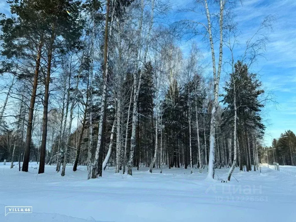 Участок в Свердловская область, Сысертский городской округ, пос. ... - Фото 0