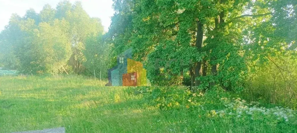 Участок в Тульская область, Алексин городской округ, с. Гурово  (15.0 ... - Фото 1