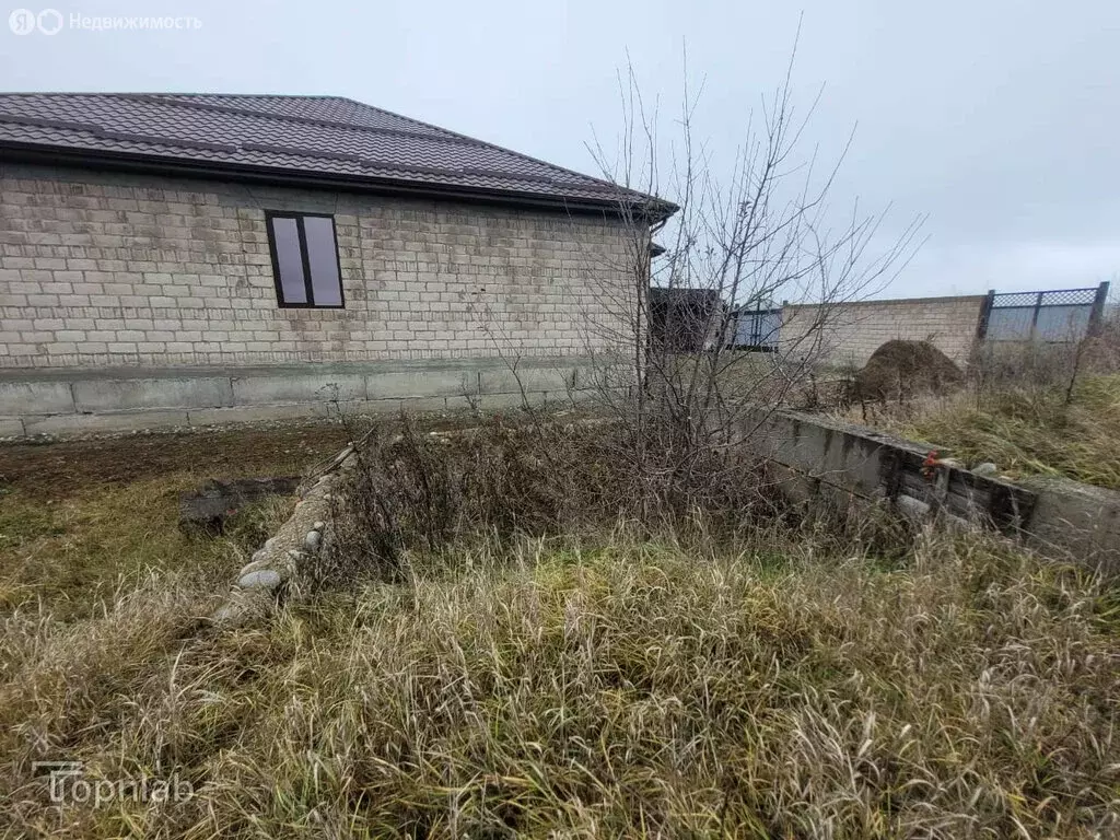 Участок в Баксан, улица Мусова, 16 (10 м) - Фото 1