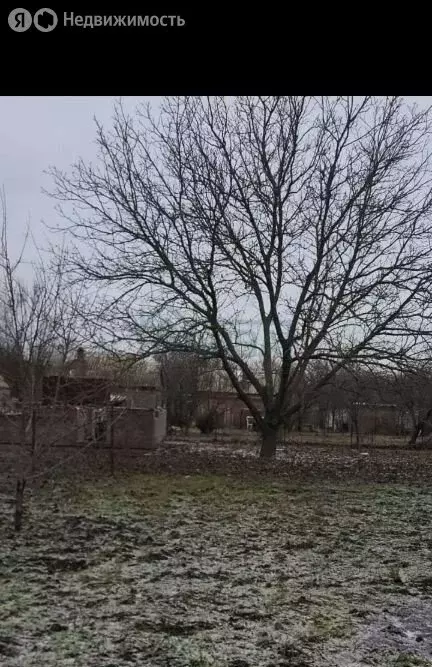 Участок в Истоминское сельское поселение, СНТ Лазурный, 979 (4 м) - Фото 2