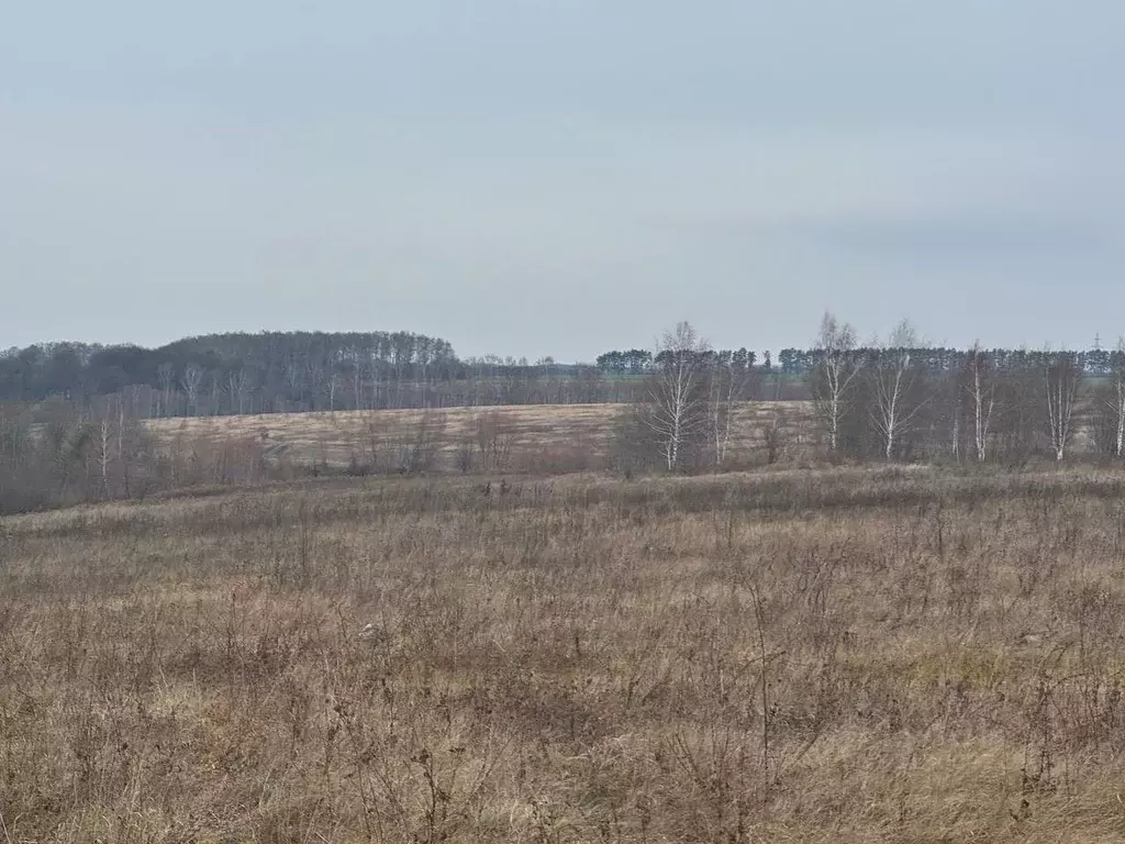 Участок в Московская область, Кашира городской округ, д. Аладьино  ... - Фото 0