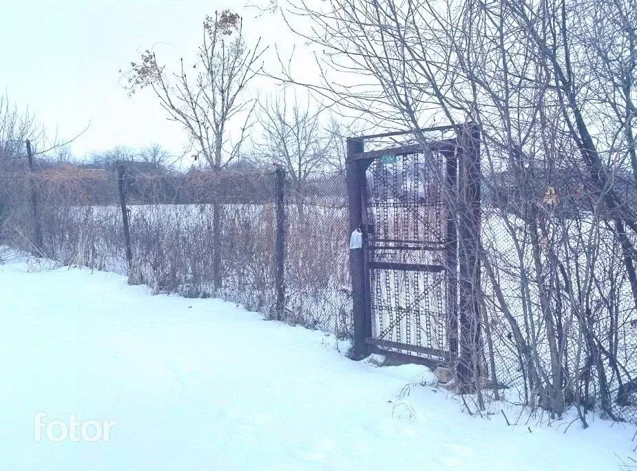 Участок в Оренбургская область, Оренбургский район, Благословенский ... - Фото 1