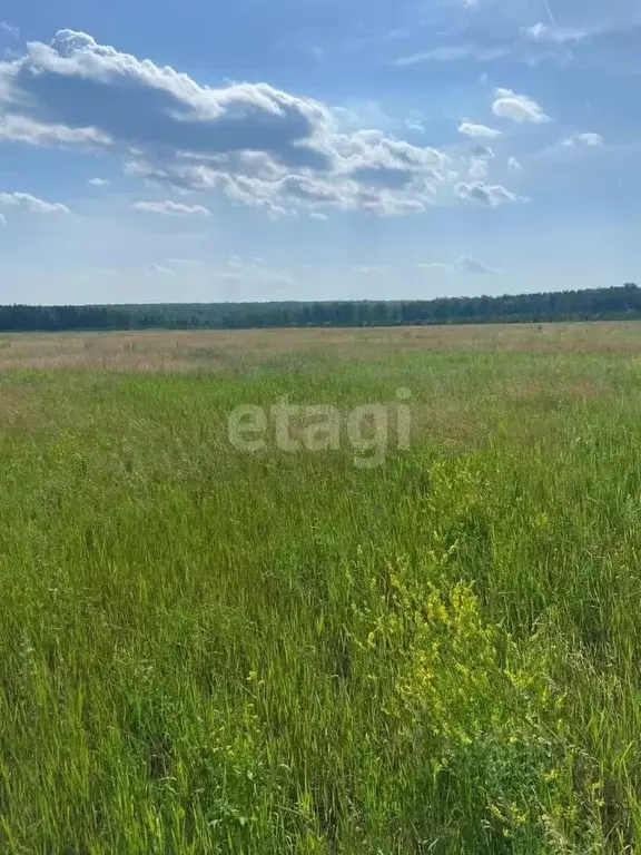 участок в челябинская область, сосновский район, кременкульское с/пос, . - Фото 0