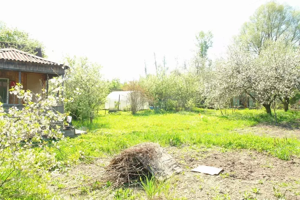Участок в Калужская область, Обнинск Родничок СНТ,  (4.0 сот.) - Фото 0